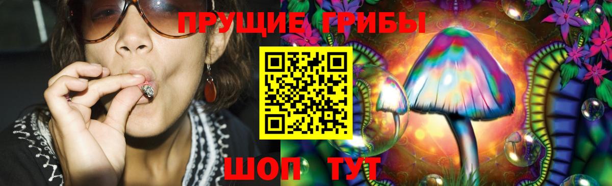 Псилоцибиновые грибы Psilocybe Астрахань