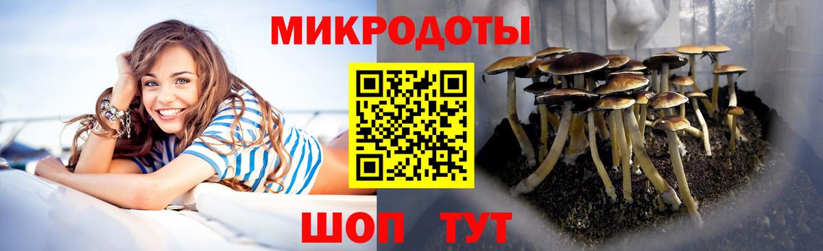 где можно купить   Вход с VPN  Астрахань  Галлюциногенные грибы мухоморы 